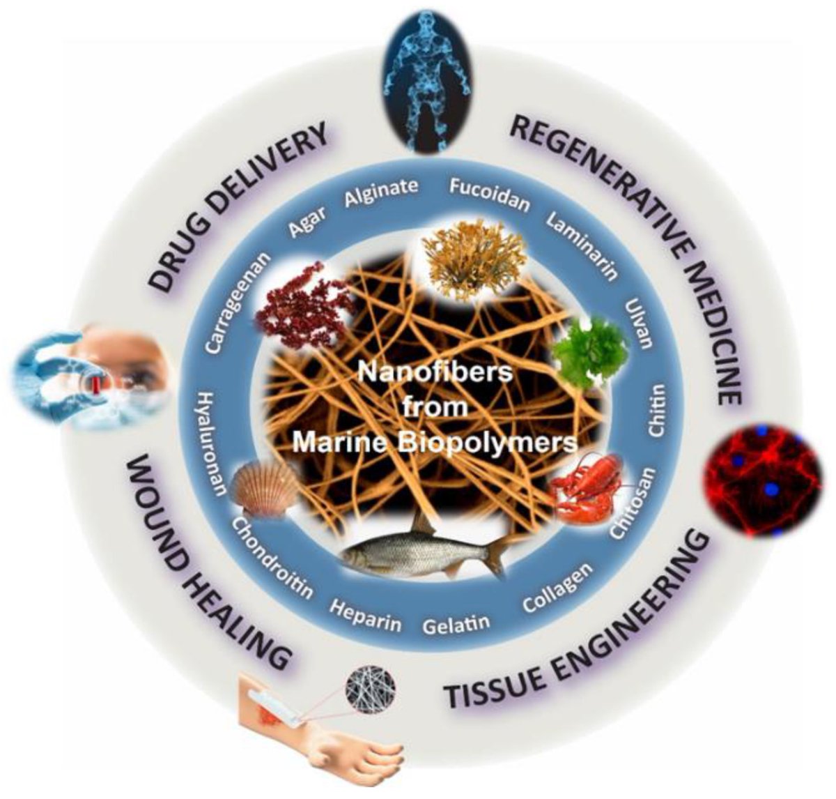 Marine_Drugs's tweet photo. Review: Marine Biopolymers as Bioactive Functional Ingredients of Electrospun Nanofibrous Scaffolds for Biomedical Applications, by Konstantina Iliou et al.
https://t.co/hFs6JQLwwO
#marinebiopolymers #electrospunnanofibers https://t.co/K3D6ABFbZP