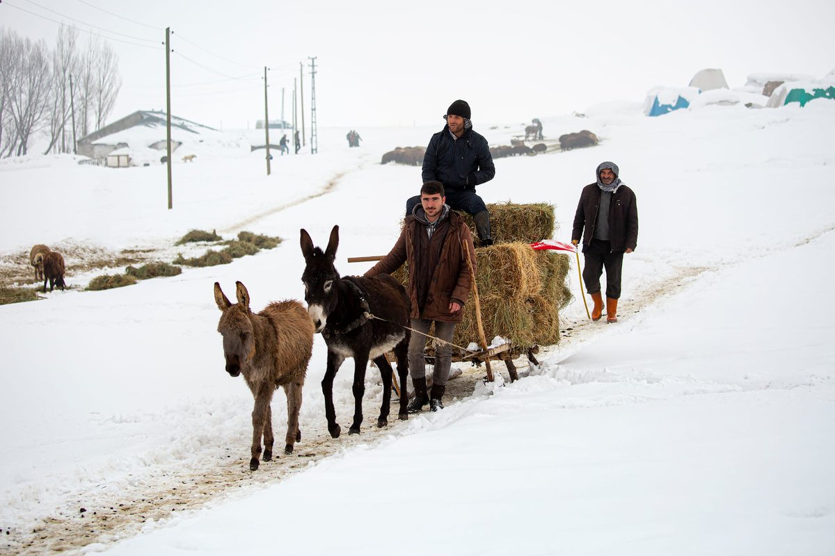 Gm #nfts #nftcollector #nftphotography