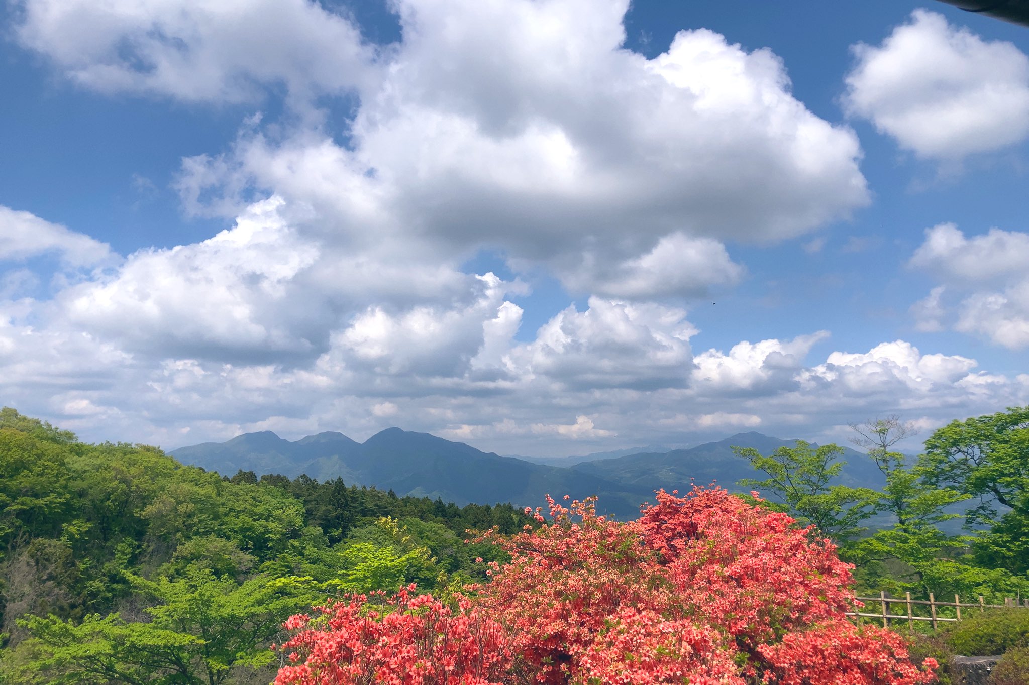 تويتر Knm على تويتر 徳冨蘆花記念文学館からの眺め T Co Sp8vblq2j3