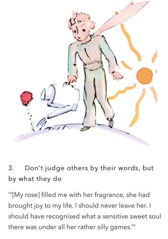 "(....) she is more important than all the hundreds of other roses: because it is she that I have watered; because it is she that I have listened to, when she grumbled, boasted, or when she said nothing. 

Because she is my rose."

- The Little Prince
