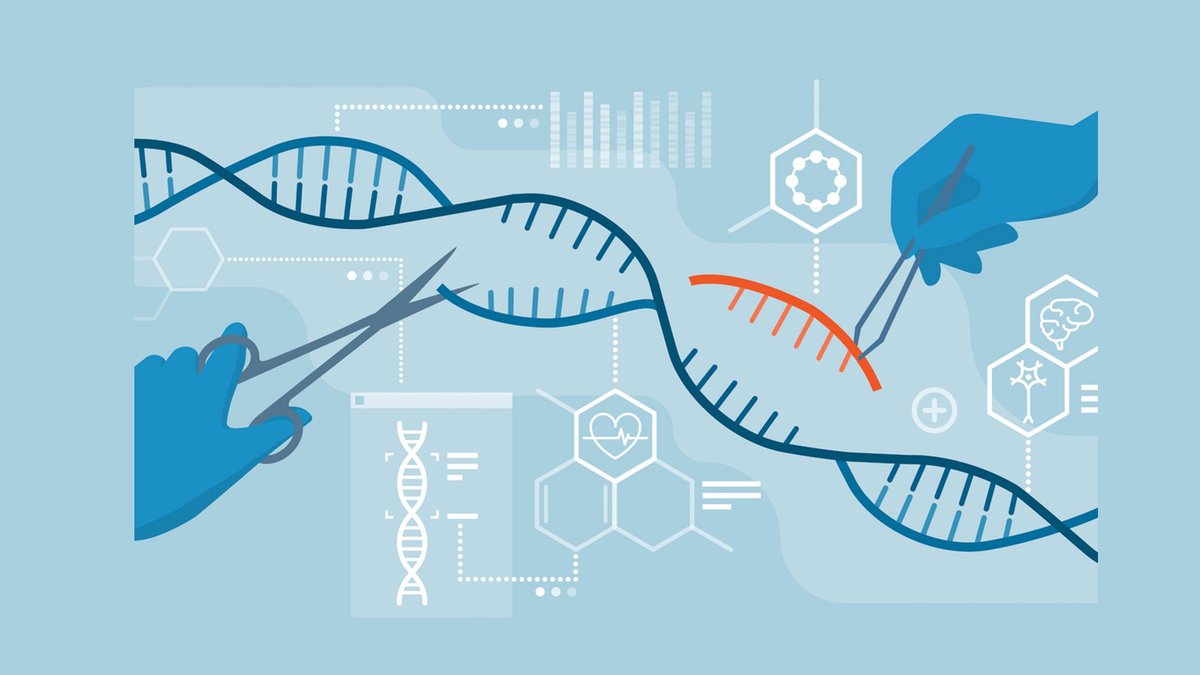 HealthcareITP's tweet image. #GeneEditing may be a potential treatment for anxiety, drinking behaviour
zcu.io/i2BQ

#EpigeneticReprogramming
#PSYCHOPATHOLOGY
#CRISPRDCAS9
#SubhashPandey