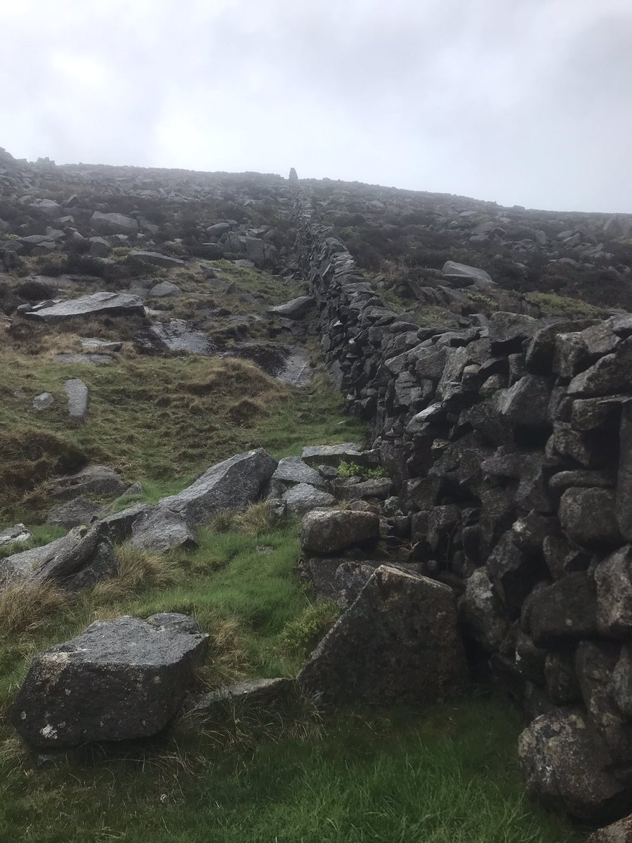 Elizabeth Enfield tweet media