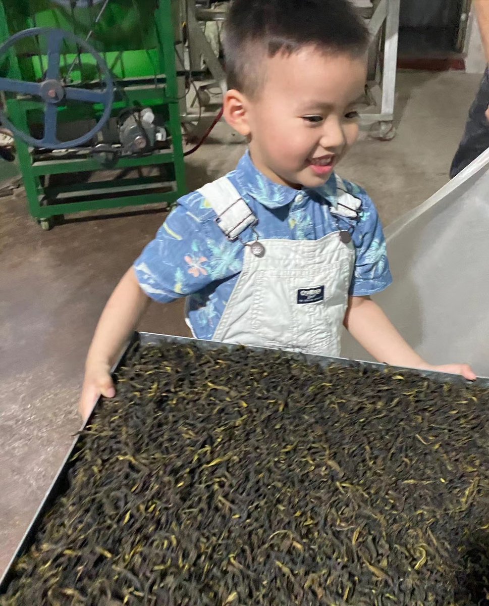 OrganicteaL's tweet photo. do what you like ,like what you do .---grandpa's little helper  #tea #gongfucha #chaozhou #tealife #teahelper #oolong #greentea #blacktea #teaworld https://t.co/cNoOvaDVyh