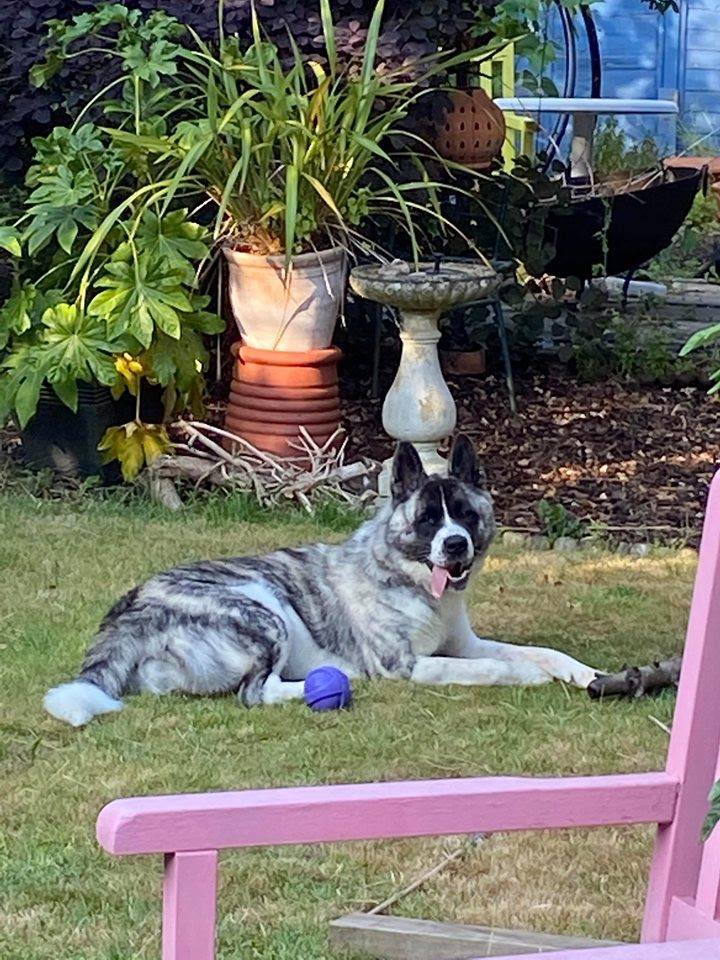 Karen Field tweet media