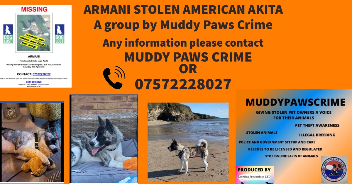 Karen Field tweet media