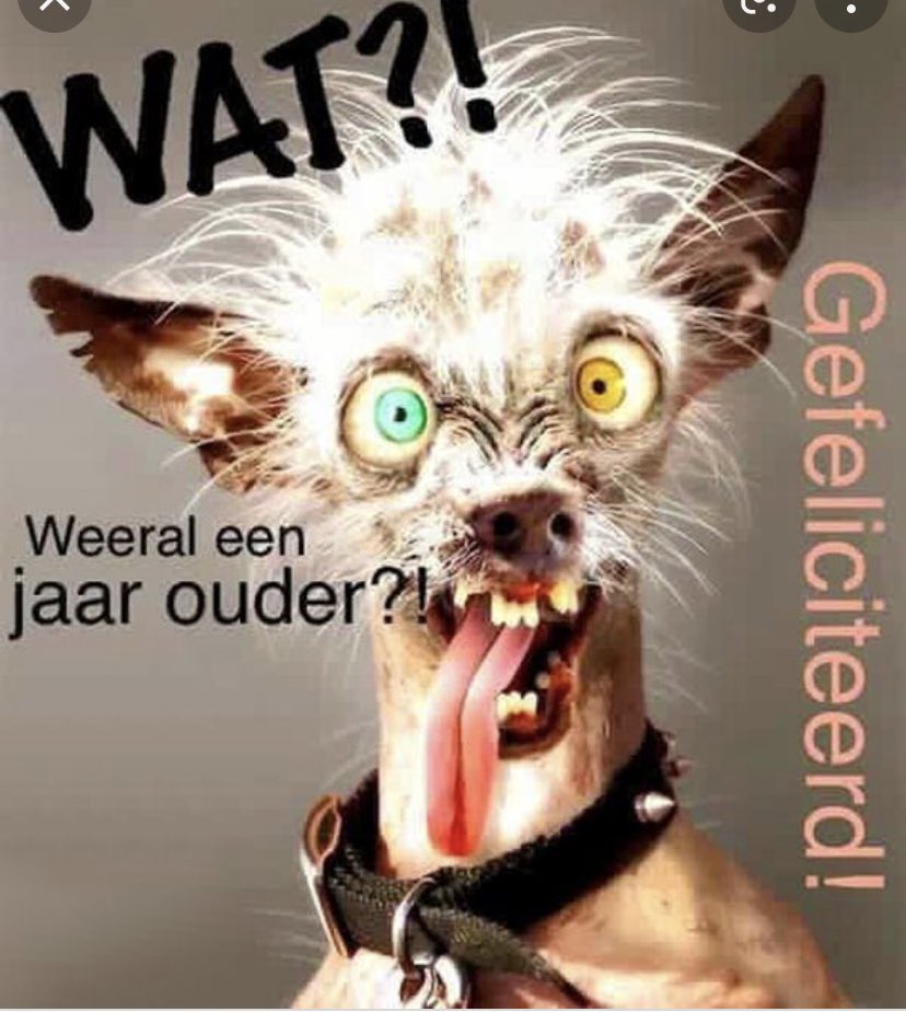 Talientje's tweet photo. Een gelukkige verjaardag broer @vvanneste https://t.co/MnhGpirL0x