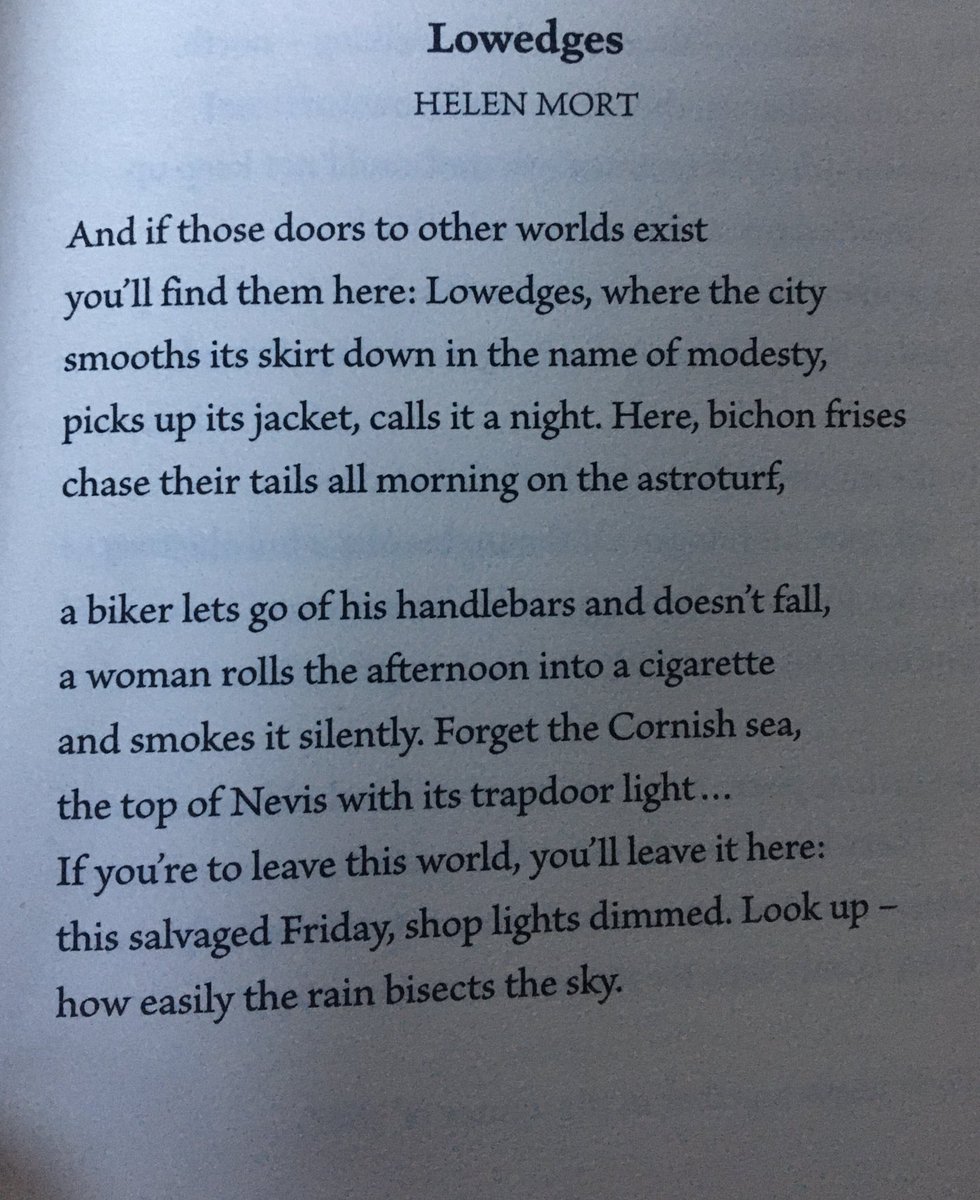 NorthernGravy tweet media