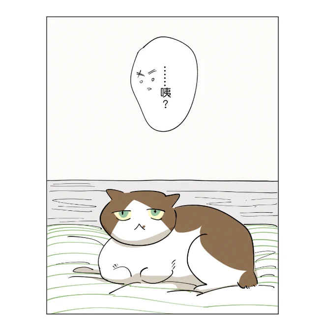 https://t.co/XvFgRGRBrX
更新了欸要看一下嗎 