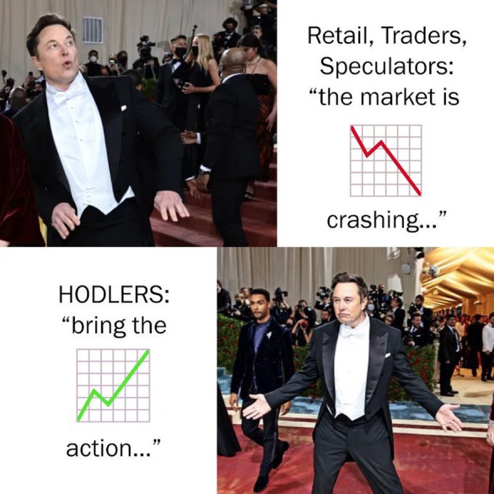 It’s game on for hodlers trying to DCA up to one #btc!  Buy and hold baby! Buy and hold!