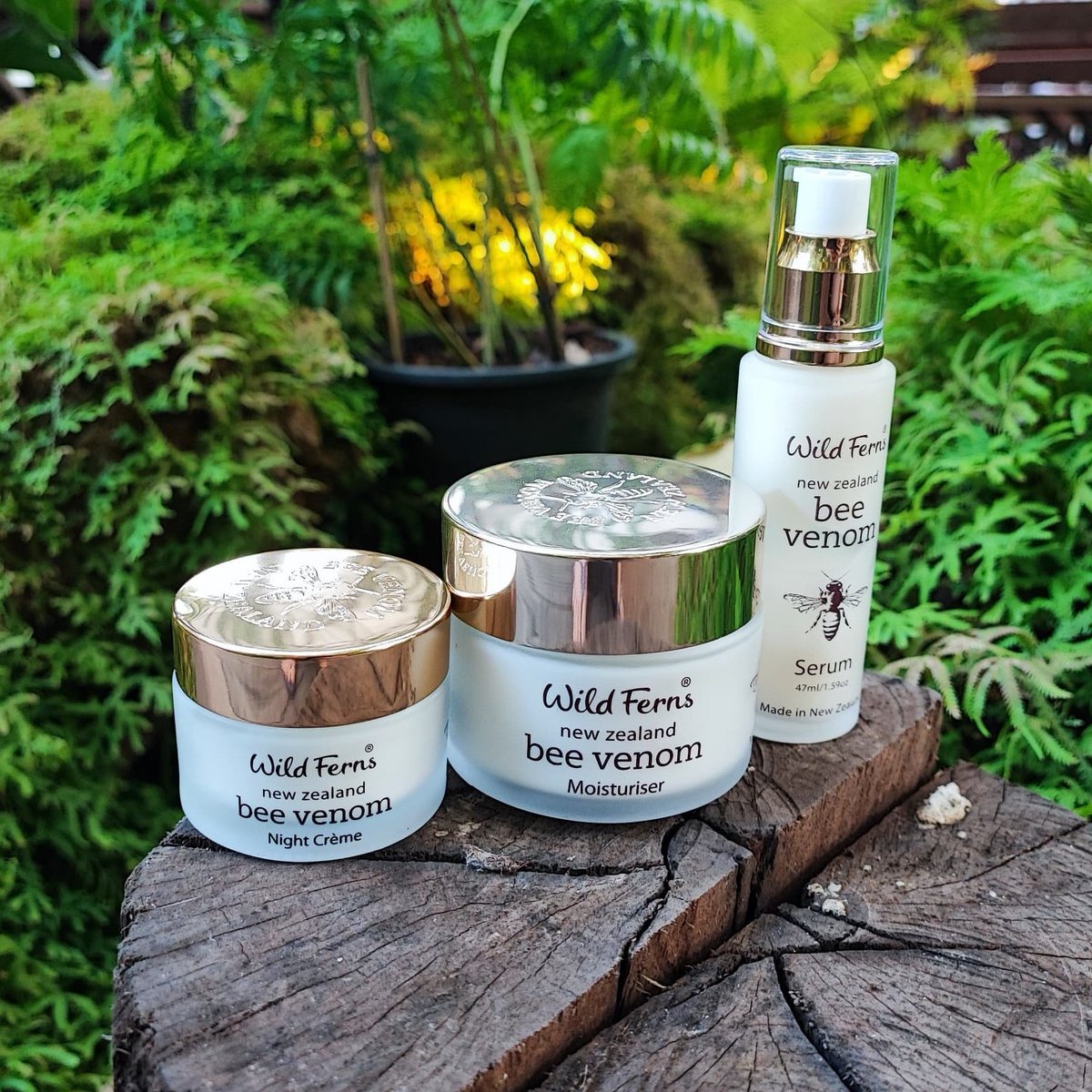 sparkzonIndia's tweet photo. 📢New lot of products💛 Bee Venom Serum ,Moisturiser &amp; Night Creme have arrived. Hurry up to stock up before the products are out again
*Recommended to use together for best results👍
#wildferns #wildfernsindia #antiaging  #serum #bestserum2022 #beevenom #manukahoney #moisturizer https://t.co/pZpELVUBiN