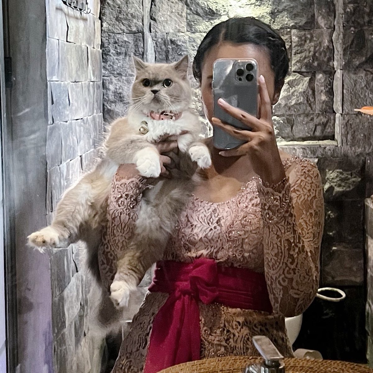 pawsomesclub's tweet photo. 🤍 https://t.co/UDNN1UUjWU