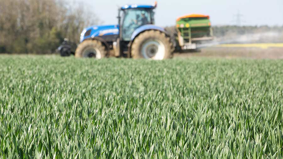 behind_the_seed's tweet photo. Milling group 1 quality required. RGT Illustrious has “Hereward-like” quality. Delivers consistently excellent baking performance as well as strong disease resistance. Try some different genetics. Contact @GrainLink @WynnstayGroup for seed. #behindtheseed @ragtseedsuk https://t.co/lCjaWu2Sps