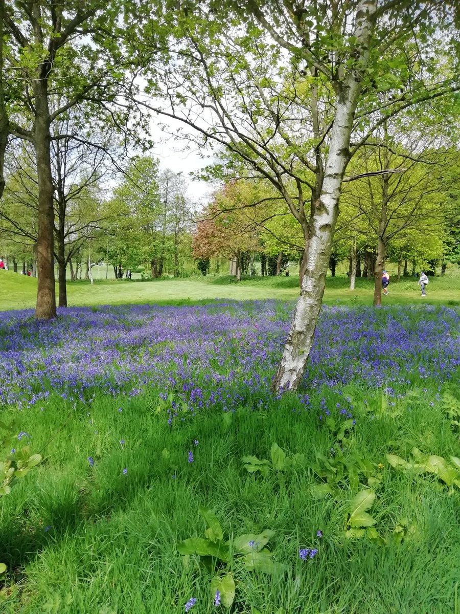 Helen Foreman tweet media