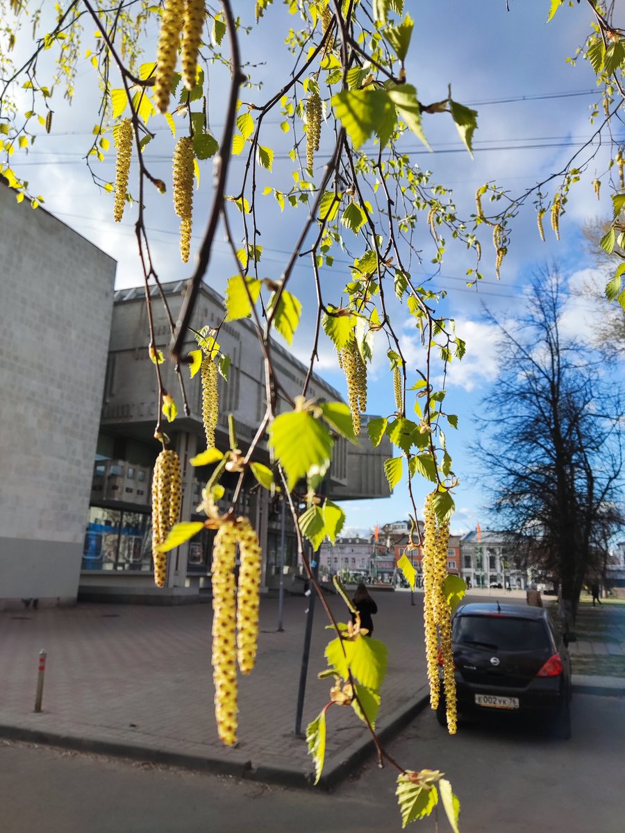 Весна приходит не смотря ни на что... а дальше-то будет лето 🌞🌴🏄🎇