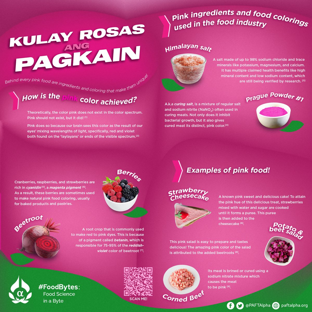 PAFTAlpha's tweet photo. “Kulay rosas ang bukas.” 🌷

While we're all craving good governance, why don’t we first take a look at the bright, pink side of the food we love?

Read this pub to know about some secrets behind some of our food’s beloved pink colors!
 
#FoodBytes
#FoodScienceInAByte https://t.co/4f2C0Qh8EA