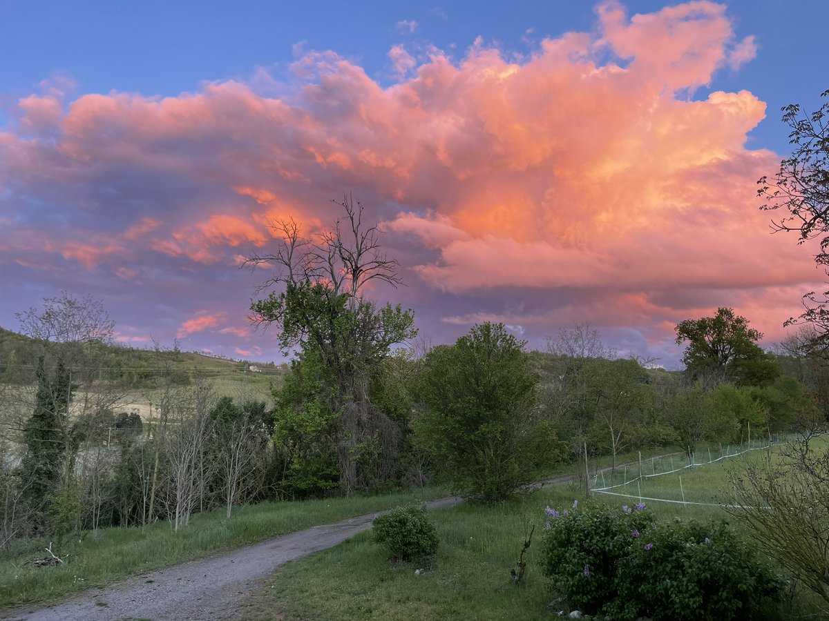 Fabio Curto tweet media