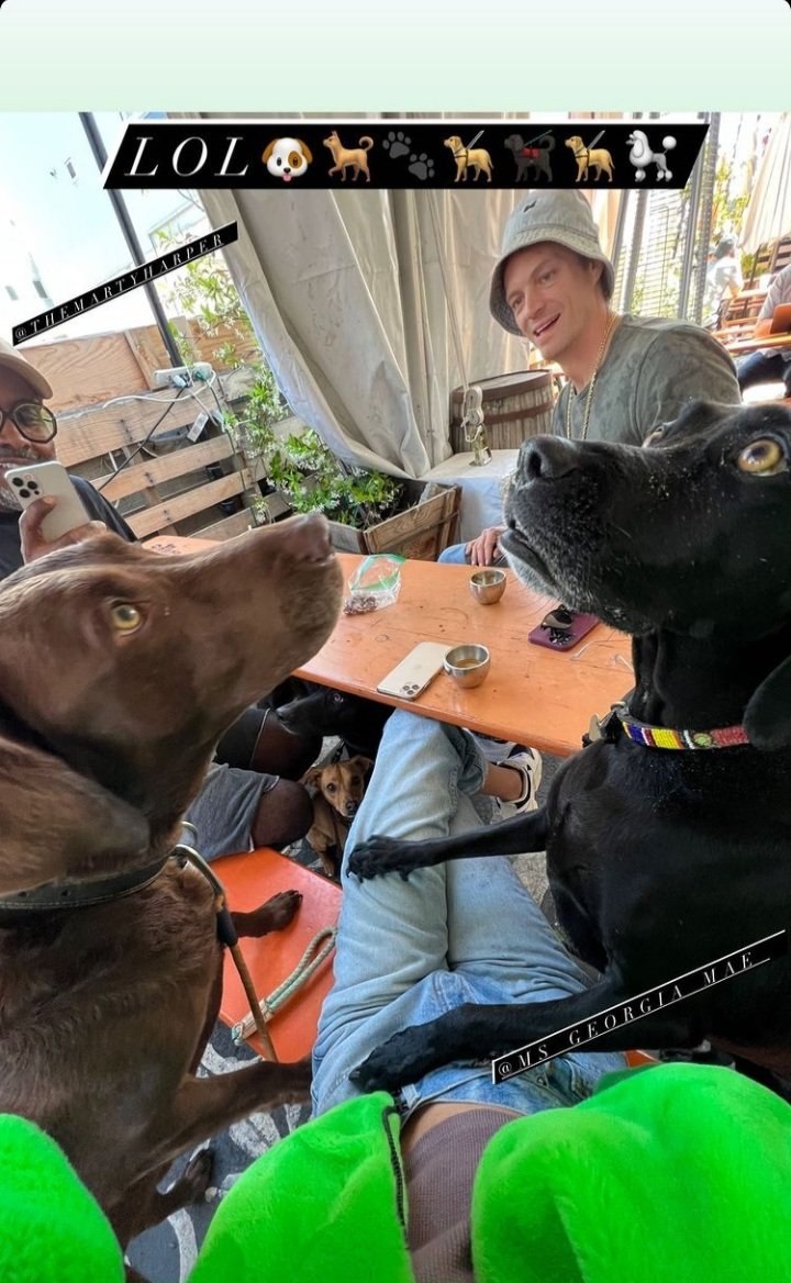 KinnamanFan's tweet photo. Joel with Marty and a lot of dogs. It's funny. (📸 Kelly)
#joelkinnaman #daddydog https://t.co/4fRfbZ9K2B