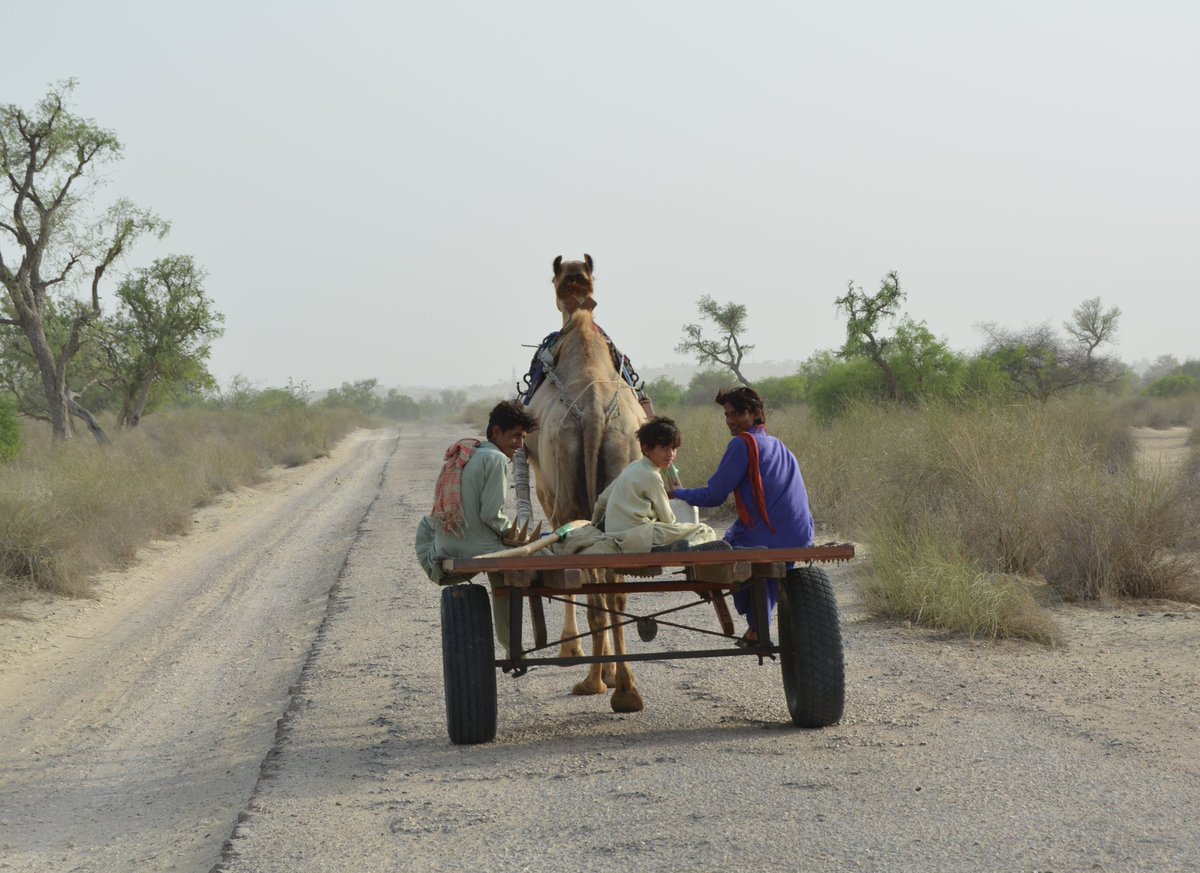 CkumarKolhi's tweet photo. A click during recent road trip in Tharparkar. 
@Sindhtour @dawn_com @PakTourism_ @etribune https://t.co/KmGGdRa6xy