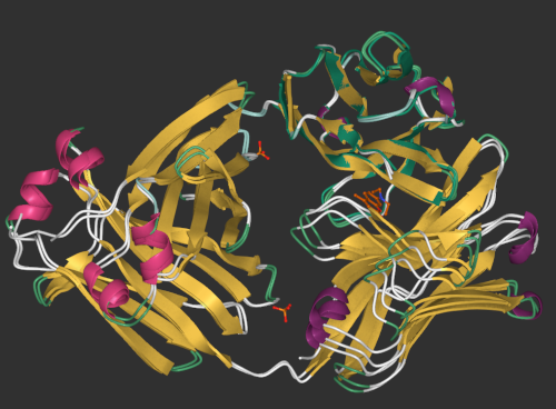 acellera's tweet photo. Discover the many features of PlayMolecule (https://t.co/QsSQvUa4ik) for drug design! Search and align homolog proteins in a snap with AceProfiler https://t.co/5cgosieZME
#PlayMolecule #drugdiscovery #drugdesign #compchem https://t.co/vcGnE4vIHp