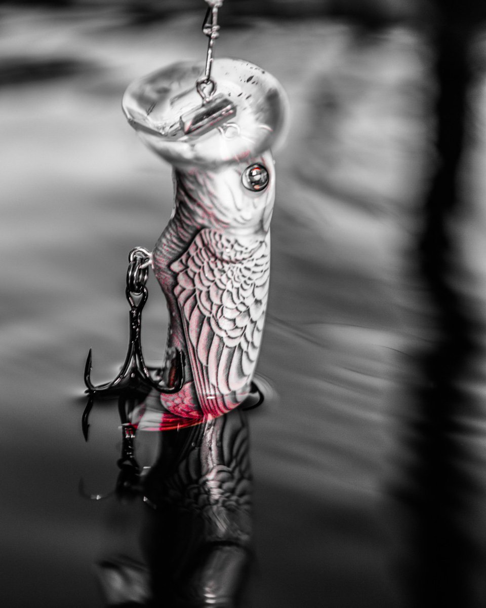 deandotfish's tweet photo. Headed south currently and i know this thing is going to play! Have some plans for all kinds of lures and scenarios but as we all know! it is fishing and if anyone can mess with your plans its Murray Cod.. #codfishing #balista #cockatoo #mulwala https://t.co/Xa5pUFQpFo