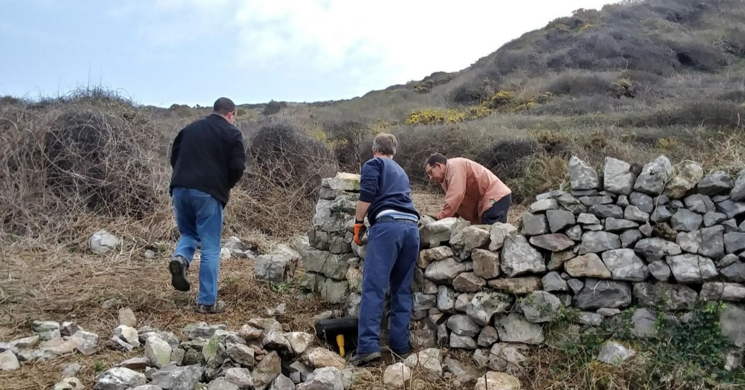 It’s full steam ahead for our #NatureNetworks project on Gower / Mae ein prosiect #RhwydweithiauNatur ar Benrhyn Gŵyr yn symud yn ei flaen! 🌳

To find out more, see here 👉 bit.ly/3kMrDMR

@HeritageFundCYM  @WGClimateChange @NewidHinsawdd