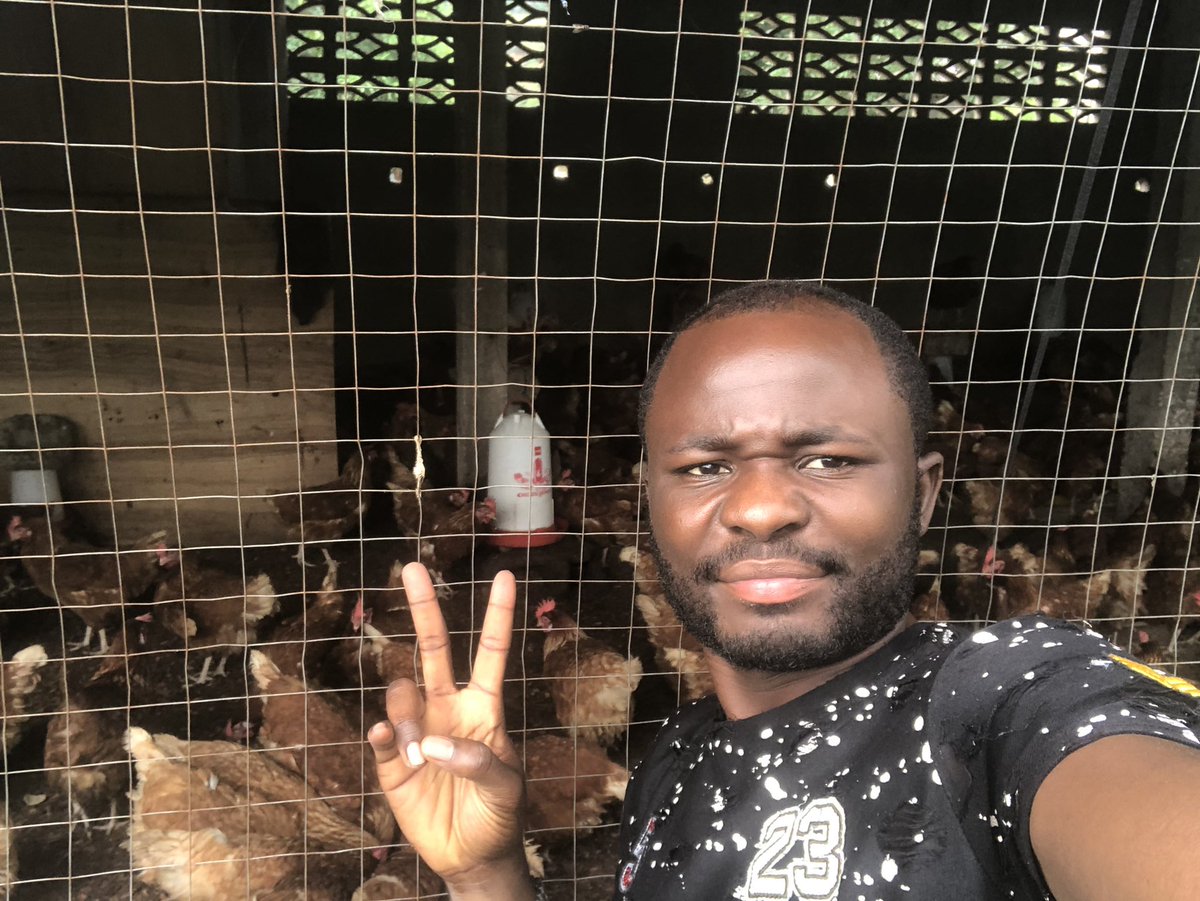 Elie Lomboto🇨🇩🐓 tweet media