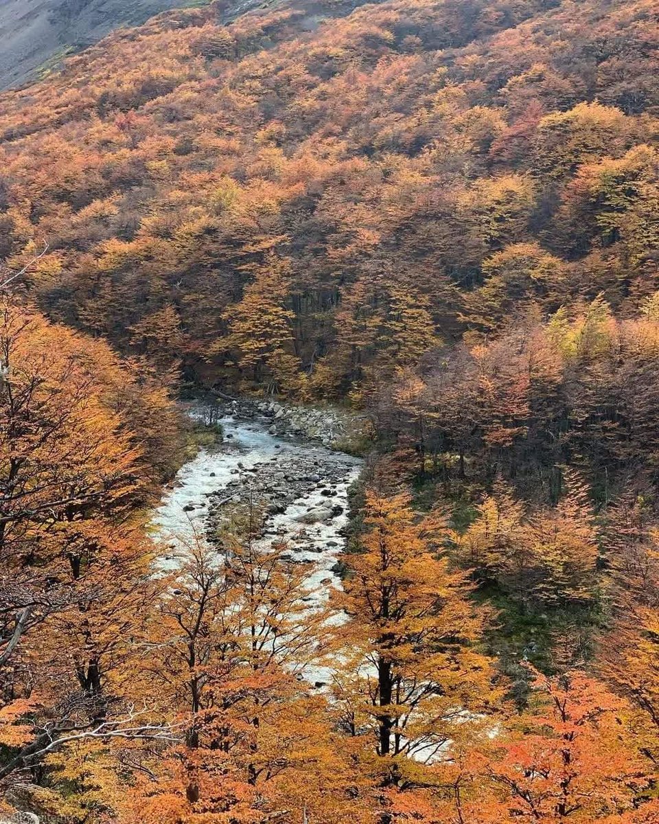 TurismoEnChile's tweet photo. En la Patagonia los paisajes cambian radicalmente en cada estación y el otoño es particularmente sorprendente.🙌🍁🍂
📷: @se_mpiterno (Instagram) / Parque Nacional Torres del Paine
#otoño #rutadelosparques #parquesnacionales #rewildingchile #amigosdelosparques https://t.co/LoYroQY5q5