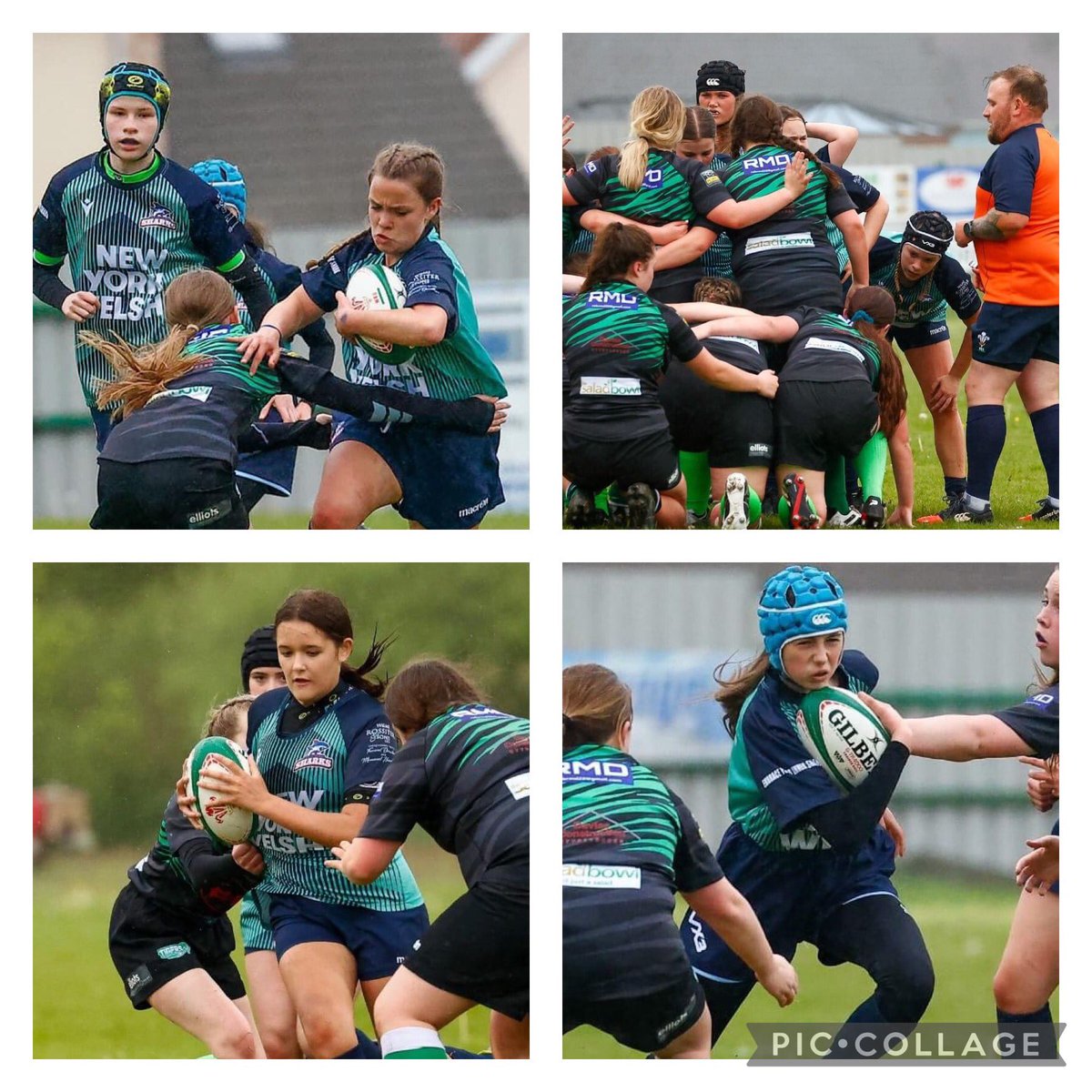 SthPembsSharks's tweet photo. The game didn't go our way, but the girls put in one hell of a shift. Rest, rebuild and roll on the next game. 💪
#embaceyourinnershark #proudhub @WRUWomenSupport @CleoHardyWRU @WRU_Scarlets
@NewYorkWelsh https://t.co/tVsTU4A57B