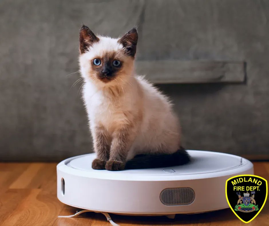 MidlandFire's tweet photo. On #MothersDay give her the gift of a clean house. Always keep stairs and landings clear for a safe evacuation in event of an emergency. Recycle all old newspapers, magazines, etc. as they can contribute to the severity and spread of a #CatOnAVacuumForAttention #FireSafeMidland https://t.co/A5hlsT3Eni