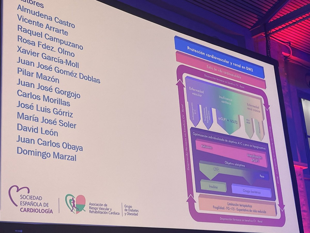 PepaSolerR's tweet photo. #7EDOSEC @almucastro01 @domingomarzal and JJ Gorgojo. Presenting the new @secardiologia algorithm for Cardiorenal protection in #type2diabetes @jlgorriz Convinced!! https://t.co/m8hGbIAF41