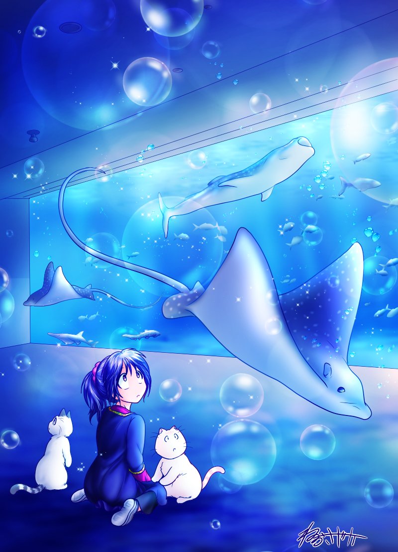 ねおさやか 開館前のかごしま水族館 黒潮大水槽 普段スタッフさんしか見れない一番綺麗な時間帯の まだ誰もいない黒潮大水槽 なんかわかんないけど何かの感情が込み上げてきて涙出ました T T T Co Nfz3axbf9i イラスト 鹿児島 水族館