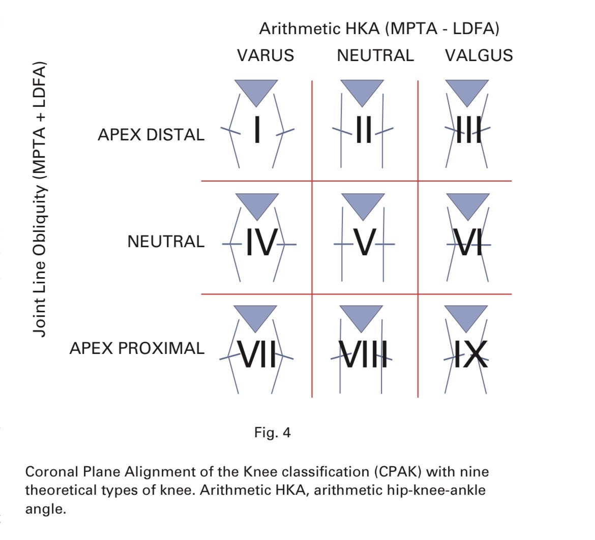 Great to catch up with fellow <a href="/eoeortho/">EoE Ortho</a> trainee <a href="/jawcorbett/">James Corbett</a> and here the latest research on knee alignment including my favourite paper CPAK <a href="/SamuelMacdessi/">Samuel MacDessi</a> ncbi.nlm.nih.gov/pmc/articles/P… #orthotwitter