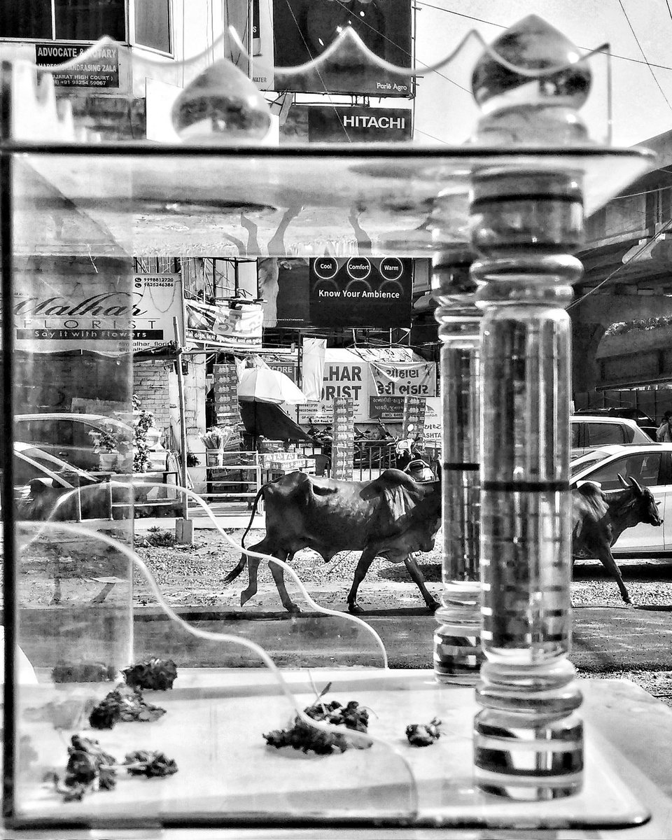 Falgun11's tweet photo. Frame in frame
#streetphotography #streetart #NFTGiveaway #NFT #NFTCommunities #NFTs #mobilephotography #photographer #Photographie https://t.co/DsgP7YG8cM