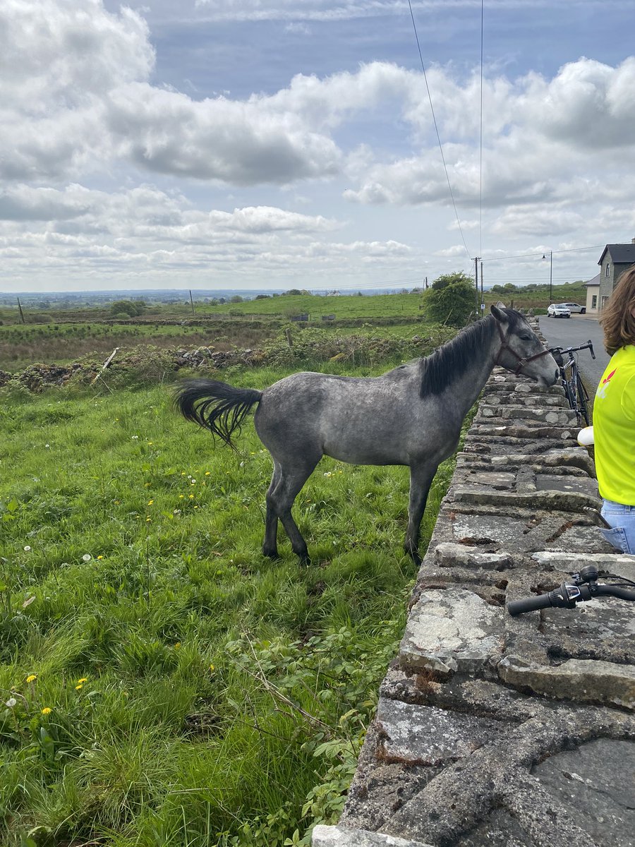 cycleformiyah's tweet photo. Good crowd have joined the cycle as we stop off in Brusna, half way thru the day https://t.co/GjRi5TdxsL