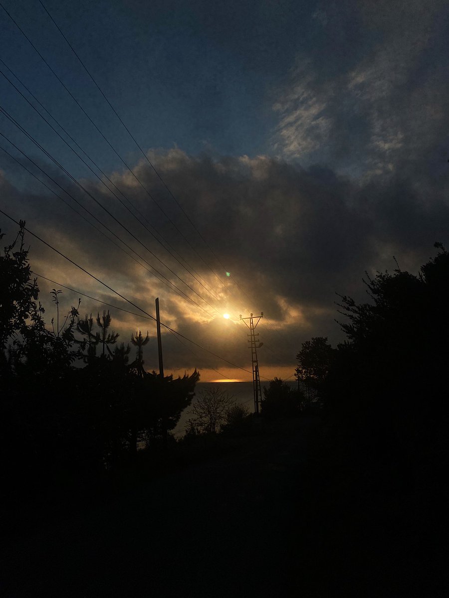 Cemre (@cemreesari) on Twitter photo 