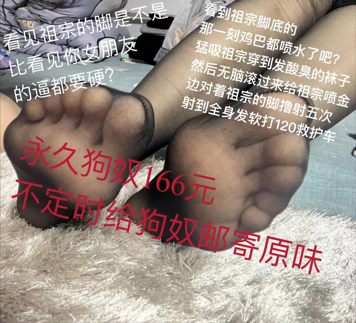 yuanweiquanjia's tweet photo. 贱狗们 点赞转发加关注，每月都会抽6个送(棉袜 免门槛 丝袜 内裤)四选一。(点赞 转发 关注缺一不可）永久有效，每月末抽发布中奖名单，一号发，包邮费 贱狗不用出一分钱#ATM奴 #吸金 #报销奴  #ATM奴  #工资奴 #贡奴 #女S #男m #狗奴 #账单奴 #贡畜  #大额奴 #喷金 #压榨 #女性崇拜 #恋足 #原味 #丝袜 https://t.co/zR9aQmLovl