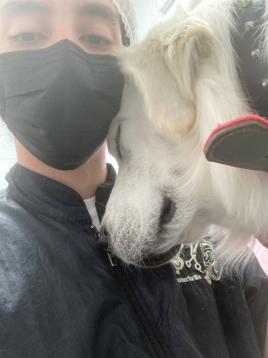 gorjit0's tweet image. El compadre se estaba quedando dormido