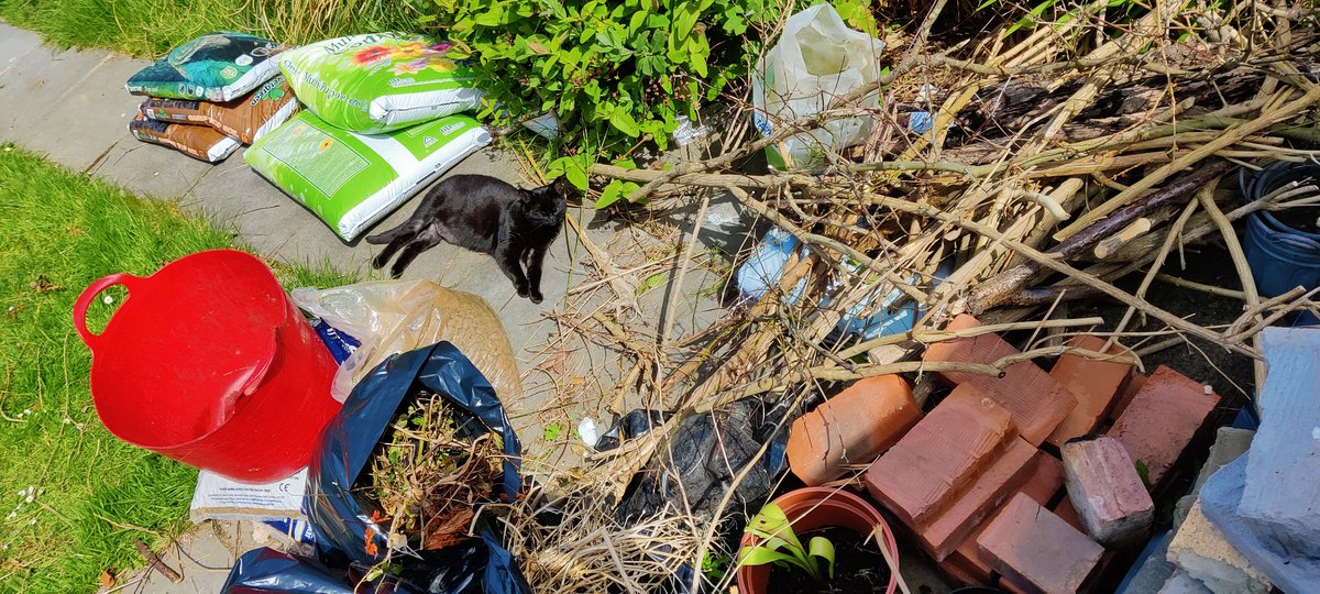 I'm not a cat, but first location looks a bit comfort!