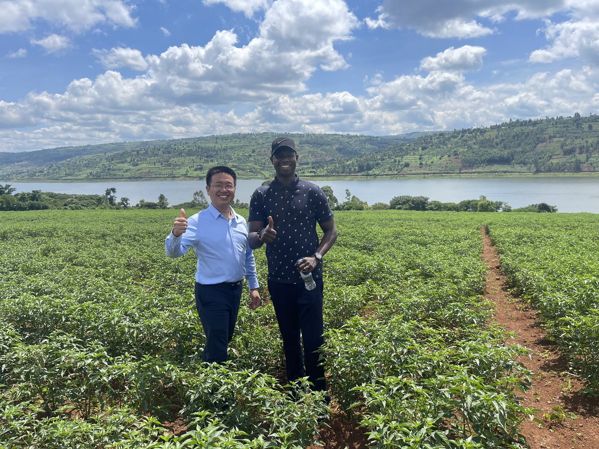 Diego_Twahirwa's tweet photo. Saturday well spent. @RwandaAgri @RDBrwanda @cakamanzi @g_mukeshimana @ryaf_agribiz @RwandAgriExport @PSF_Rwanda https://t.co/UZm3aPZyrD