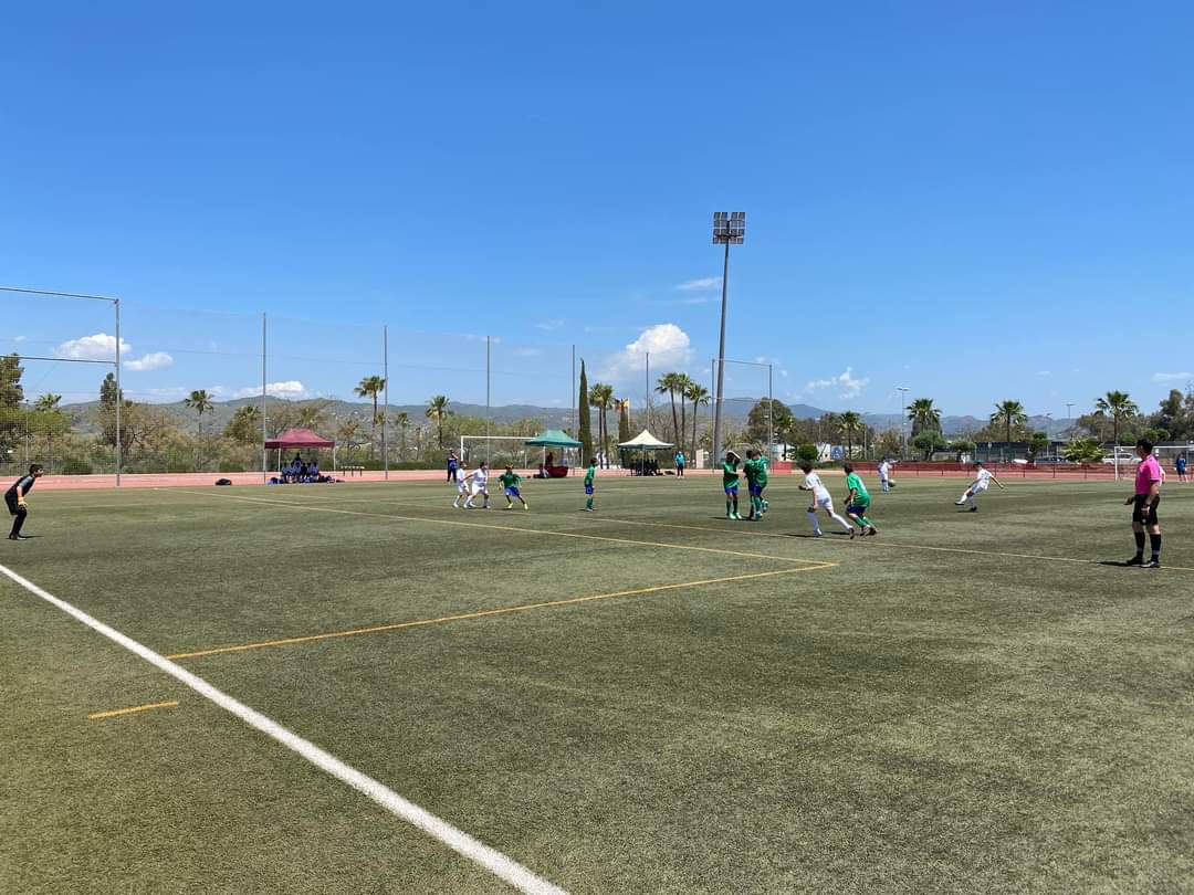 Ayto_Cartama's tweet photo. La Ciudad Deportiva de #Cártama acoge la fase final andaluza de la II Copa Provincial de Escuelas de Fútbol Danone Nations Cup en la categoría alevín. https://t.co/LpDg1EmEIa