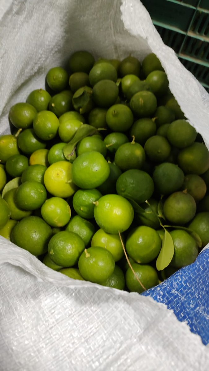 CDAbastoPuebla's tweet photo. $10 kg de limón en la central de abastos Puebla , cual alza de precios ? 
La cebolla ni se diga a 2 kilos por $15 , estos precios son reales y podrás encontrarlos en la herradura chica #240 https://t.co/32gwS8OWl7