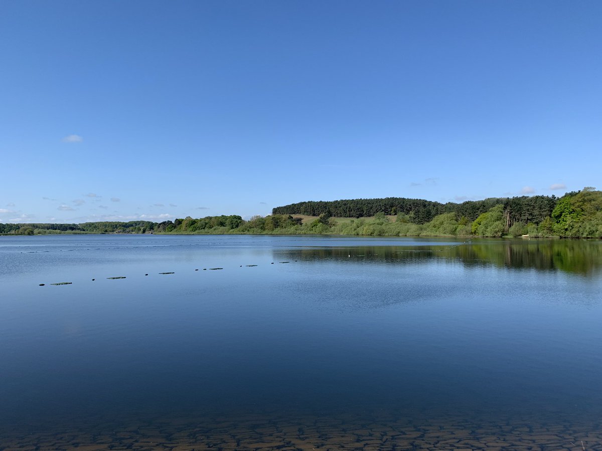 AYEARFORHOPE's tweet photo. So lucky to have all this on my doorstep - never gets dull running around here - rain or shine #grobypool #bradgatepark #cropstonreservoir https://t.co/2b0WhWUEfv