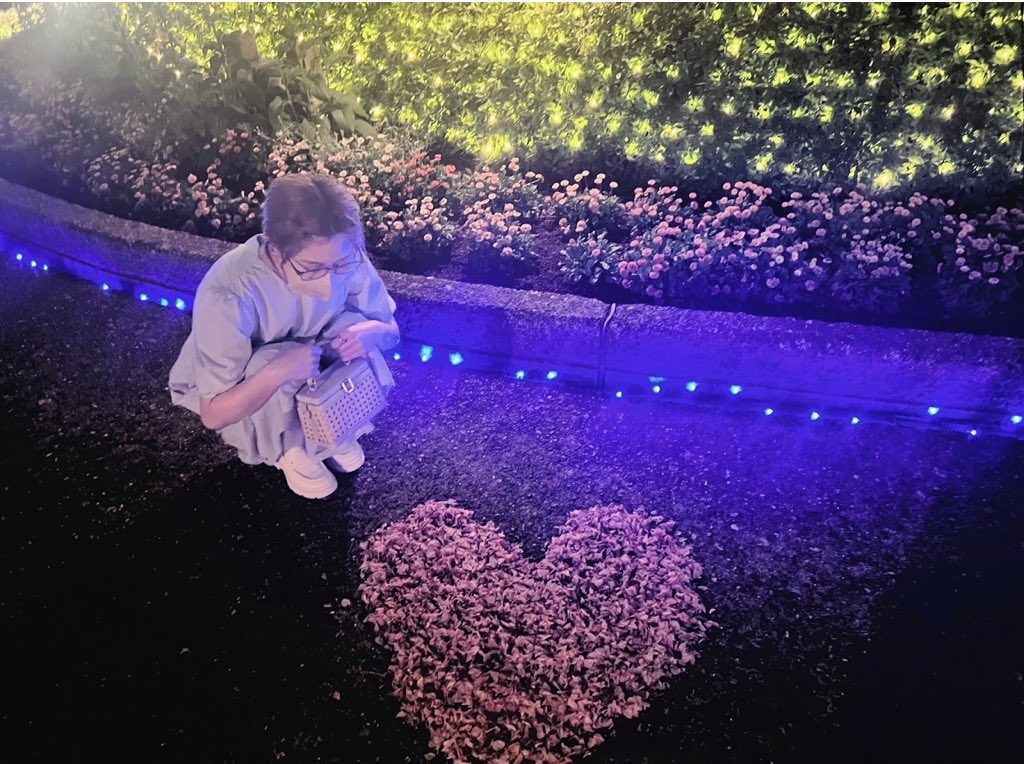 meimei__kouhei's tweet photo. めいちゃんブログ更新ありがとう🍓
明日のレター動画楽しみにしてるね!
#meiblog
#meilike https://t.co/nS26Rkx0b0