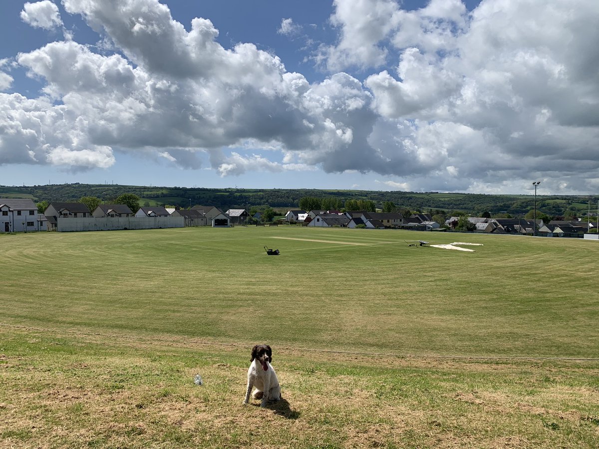 MrLloydJames's tweet photo. I’m often asked what I’d like to see out of pitches. As a retired batsman, I’d say it’s pretty obvious… 🙄
#morerunsplease #roadbuilding #digin
Not yet #patchoftheday but nearly. Nearly. 😎 https://t.co/WUchKsKM0V
