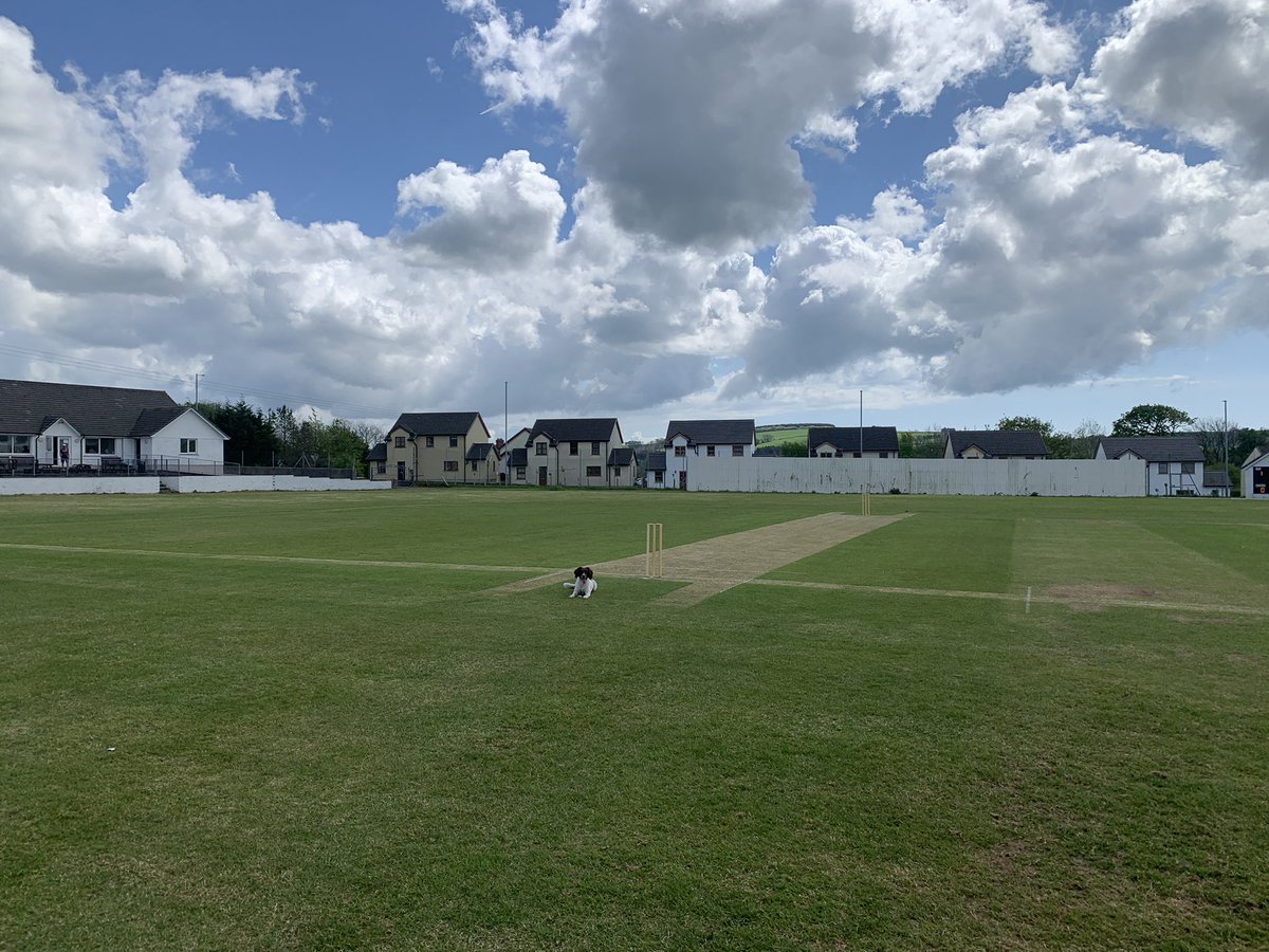 MrLloydJames's tweet photo. I’m often asked what I’d like to see out of pitches. As a retired batsman, I’d say it’s pretty obvious… 🙄
#morerunsplease #roadbuilding #digin
Not yet #patchoftheday but nearly. Nearly. 😎 https://t.co/WUchKsKM0V