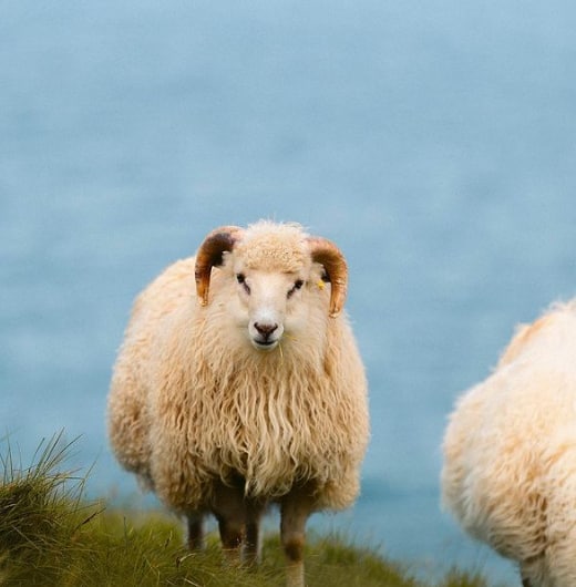 有时最难的并非放下过去，而是学会重新开始。