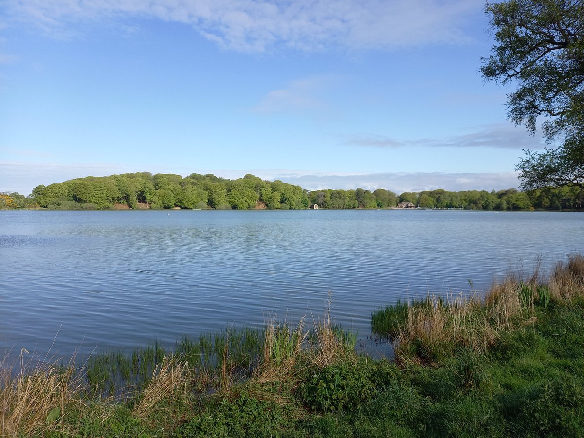 HELLSBELLS_DFYB's tweet photo. Talkin Tarn Country Park #parkrun, you are beautiful! Andy had his 🍦Flake run today.  #cumbria #parkruntourism @parkrunUK @freeweeklytimed @WithMeNowPod @parkrun https://t.co/JA8HzeB908
