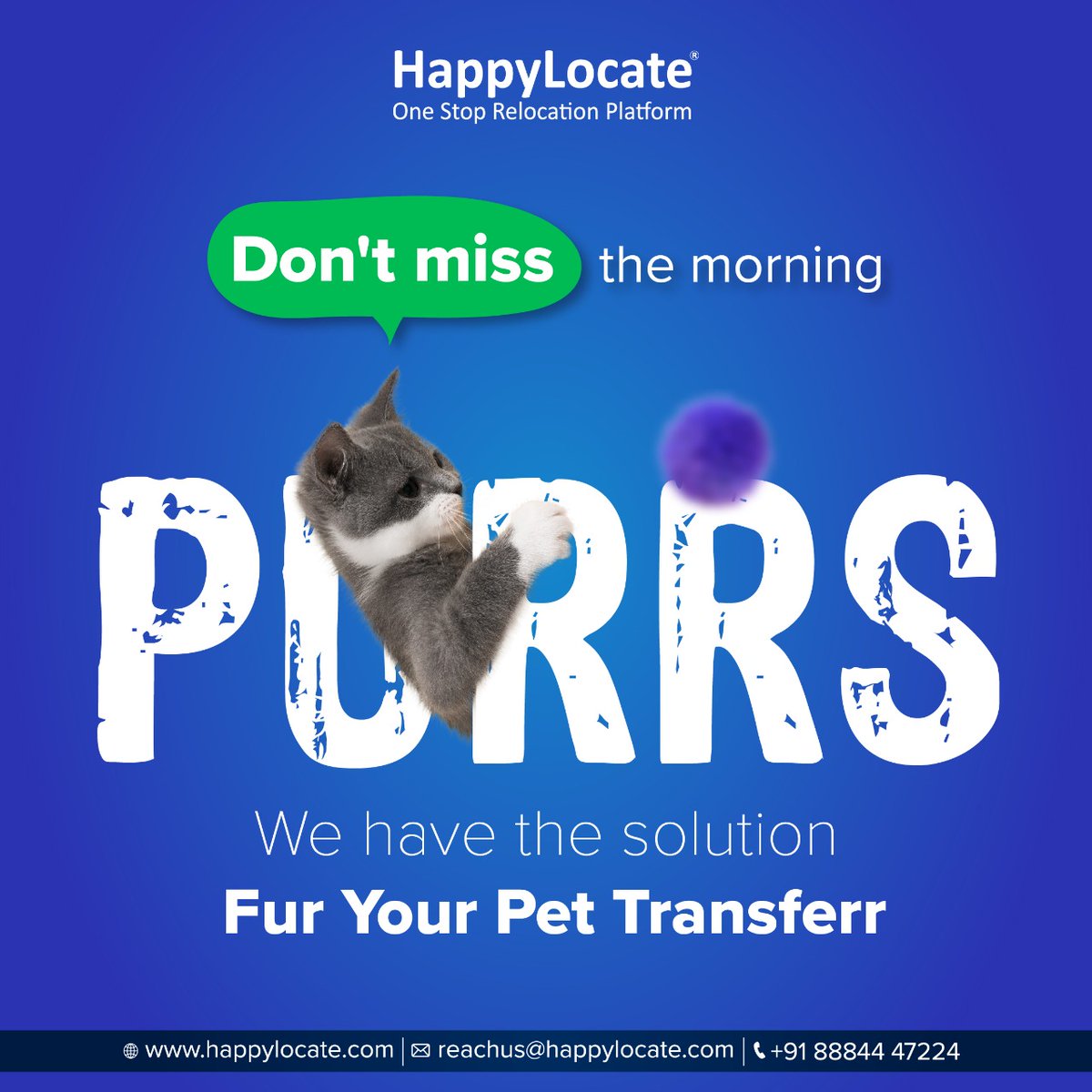 HappyLocate's tweet photo. Do not let those innocent eyes long for you๐ฟ
We are the PURRFECT relocation partner for your pet๐ป
We will relocate your pets to their new homes in spacious, comfortable and airy cagesโ๏ธ
#happylocate #petrelocation #InternationalPetRelocation #DomesticPetRelocation https://t.co/czunYd2WIm