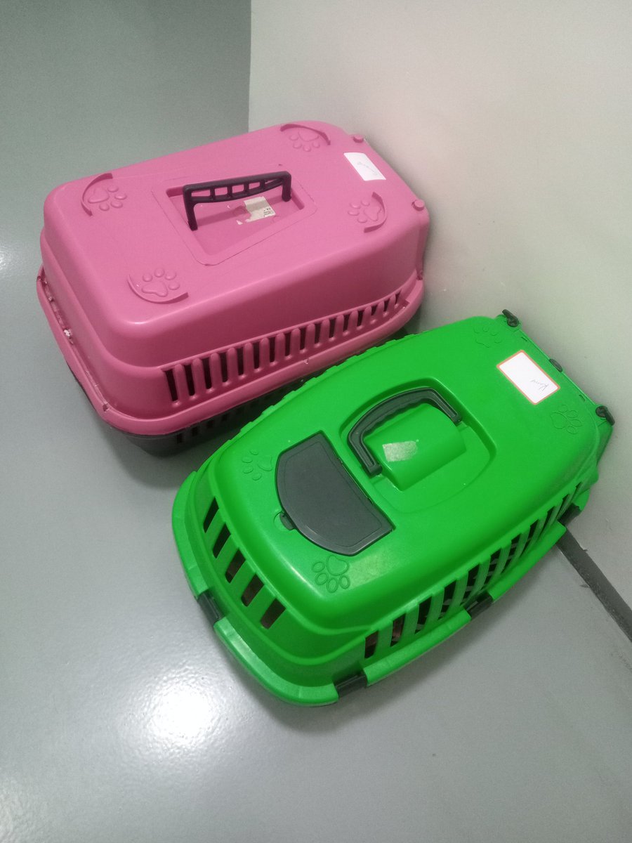 PaesLemeB's tweet photo. Não tem uma página do Cosmo e da Wanda em lugares inesperados?
Vou marcar o @GuilhermeBriggs que ele tem um fandom que com certeza vai saber #PadrinhosMágicos #CosmoeWanda https://t.co/lC2SBU53ts