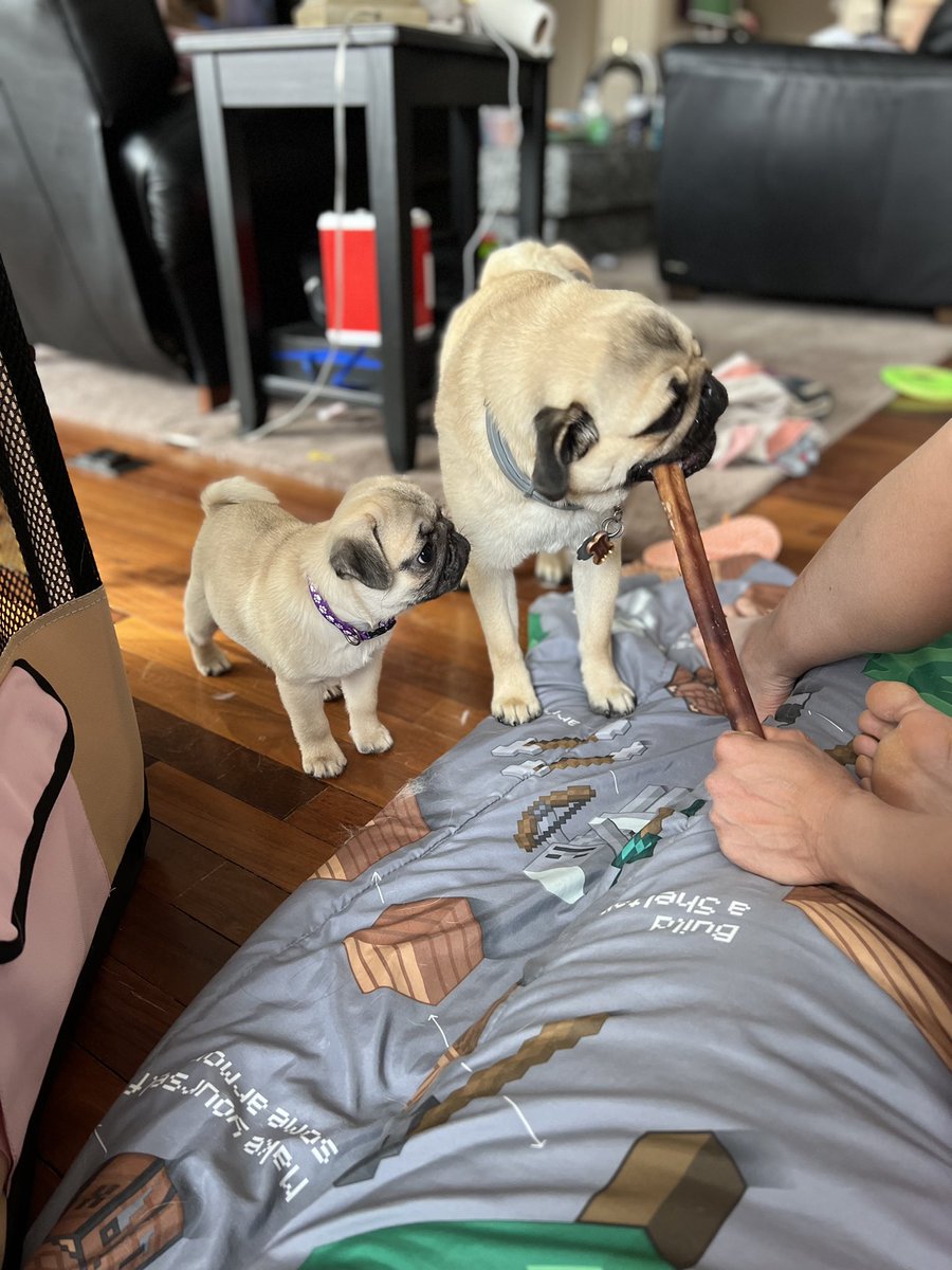 Ben Mezrich tweet media